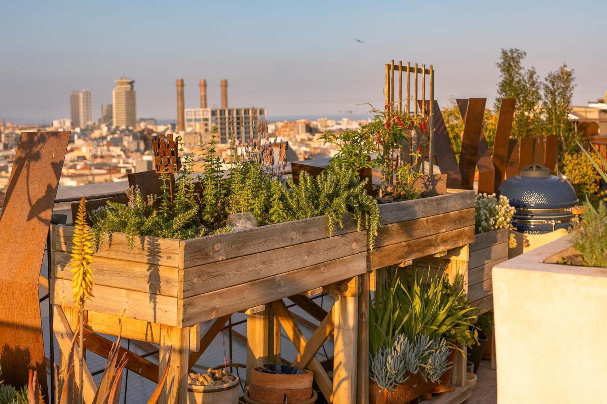 Leilighet With Terrace Views Of Bcn